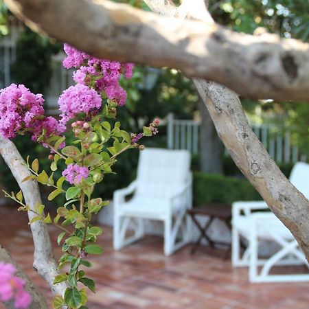 El jardín de la abuela Granada Exterior foto
