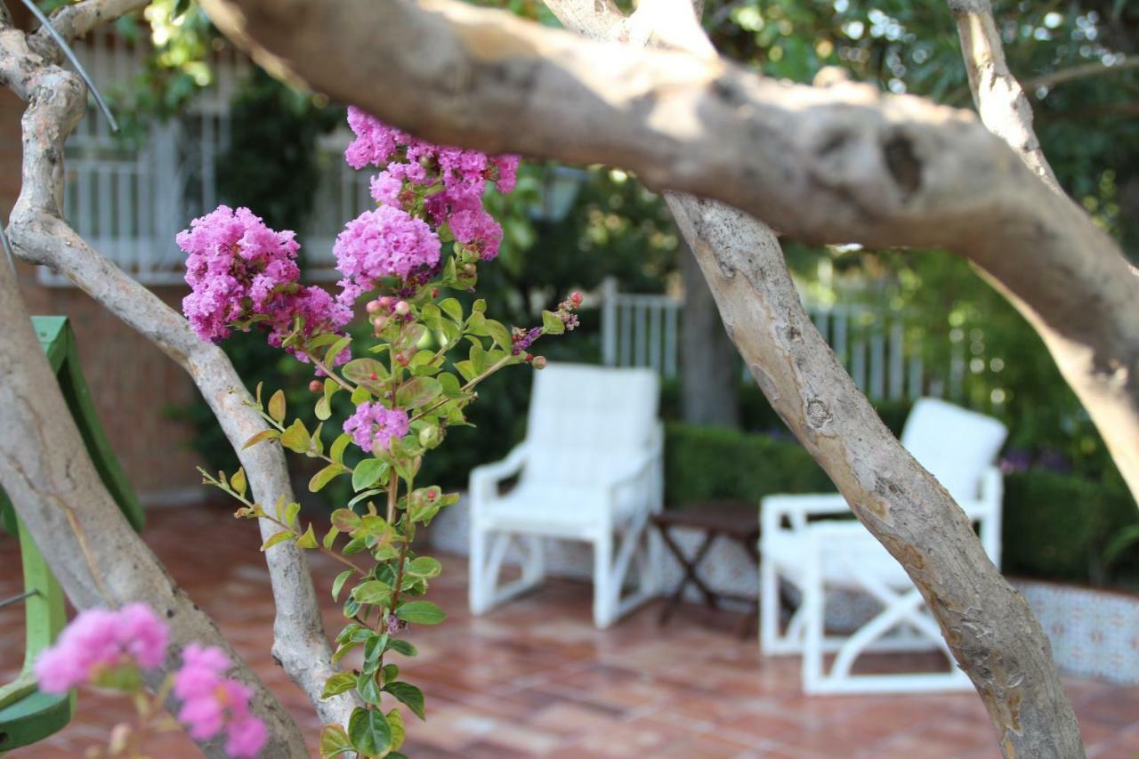 El jardín de la abuela Granada Exterior foto