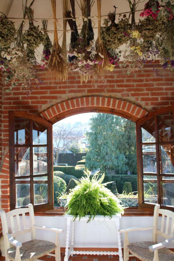 El jardín de la abuela Granada Exterior foto