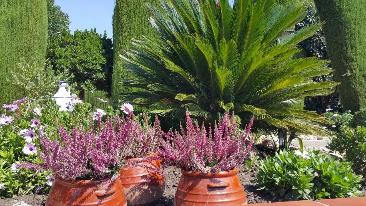 El jardín de la abuela Granada Exterior foto