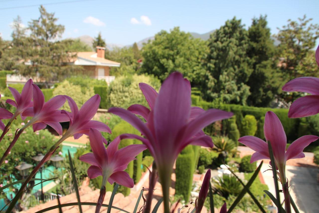 El jardín de la abuela Granada Exterior foto