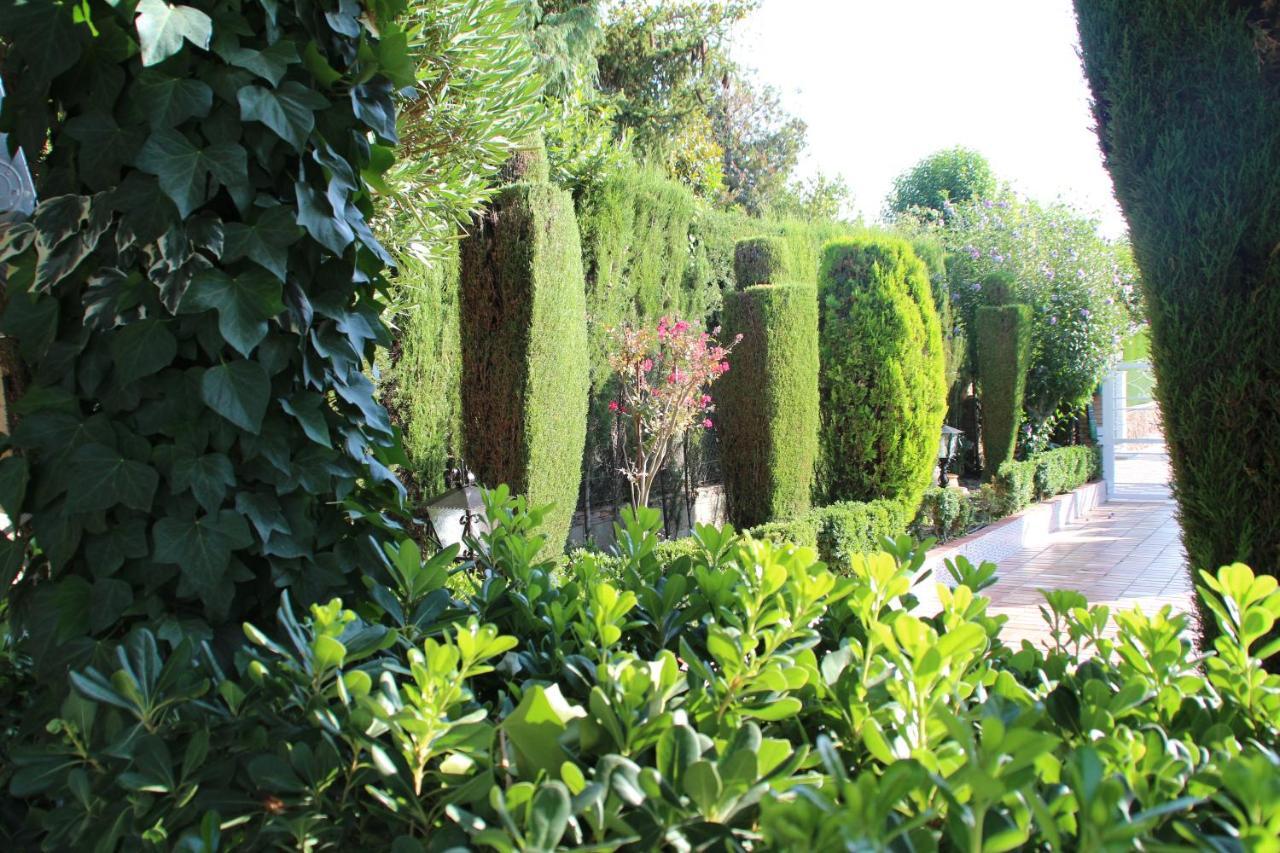 El jardín de la abuela Granada Exterior foto