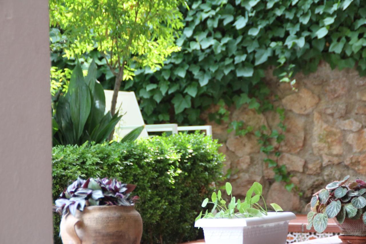 El jardín de la abuela Granada Exterior foto