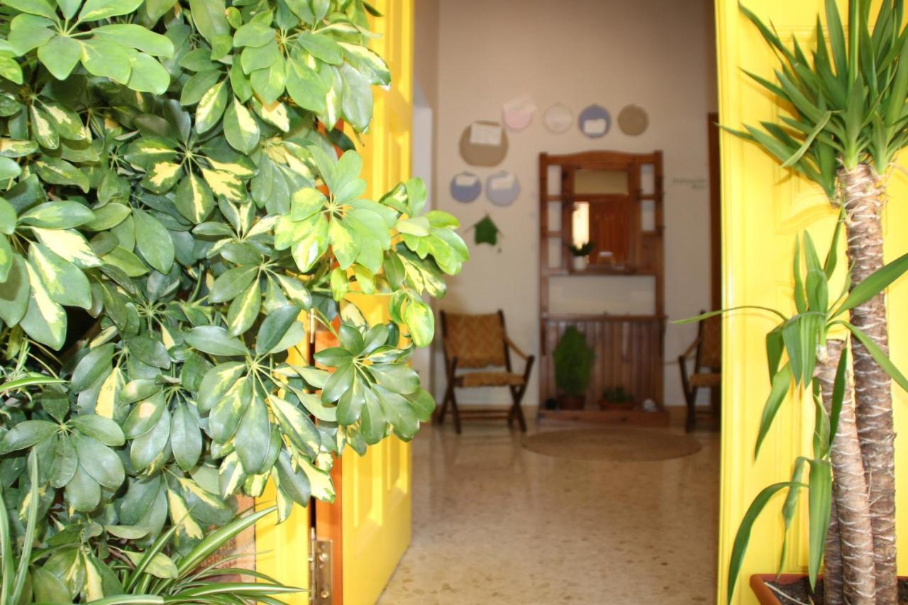 El jardín de la abuela Granada Exterior foto