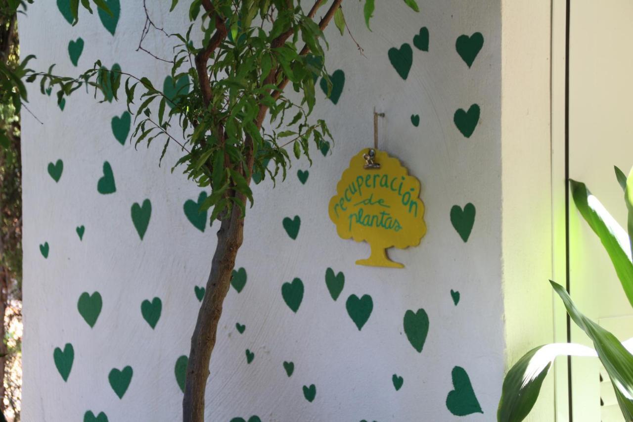 El jardín de la abuela Granada Exterior foto